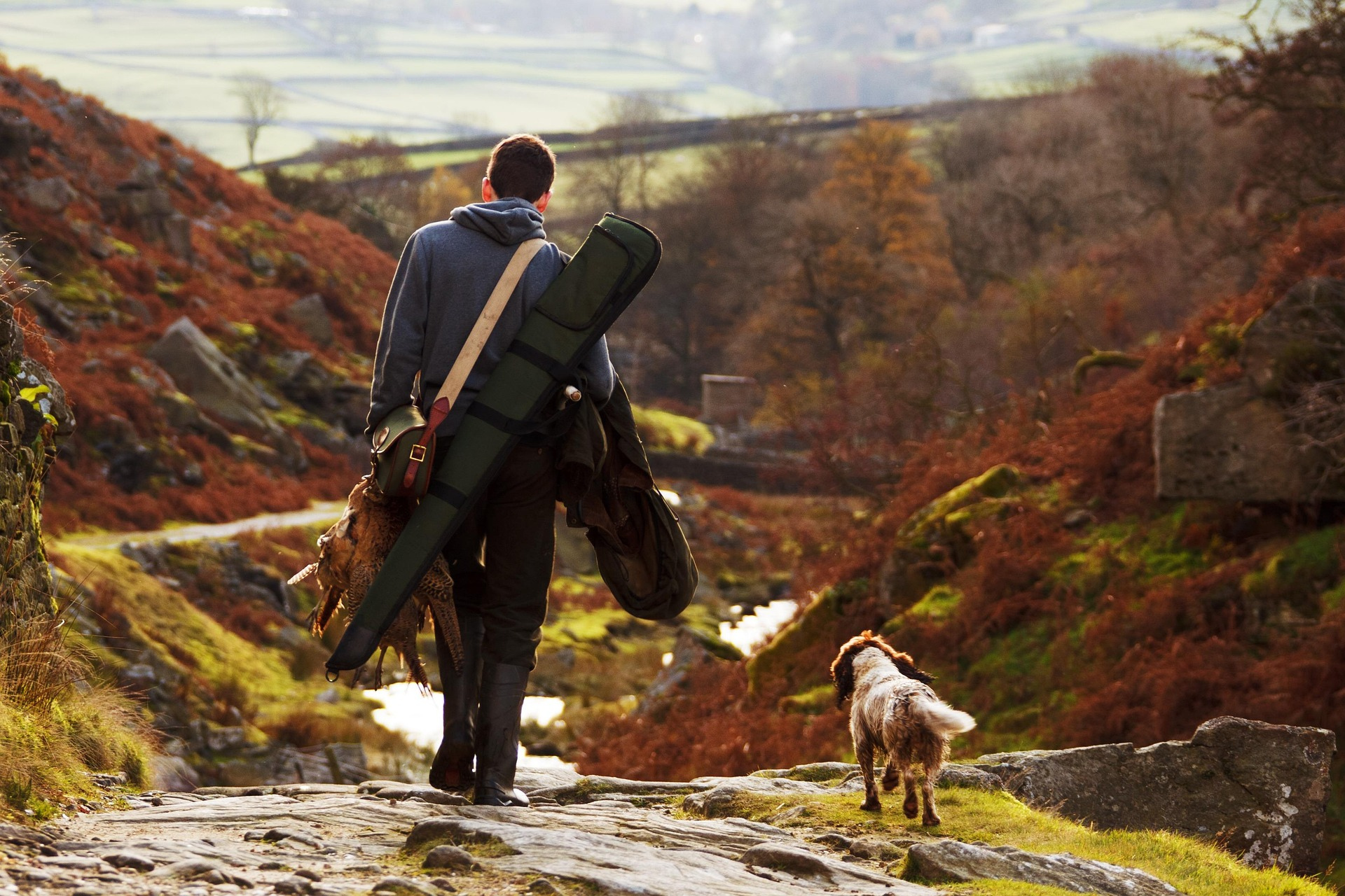 Man walking with a shotgun case through a scenic landscape with a dog.